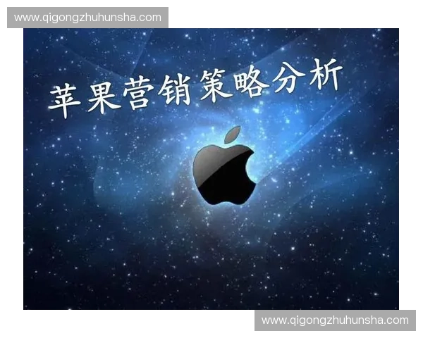 赛前计划制定的核心要素与实施策略分析 赛前计划制定的核心要素与实施策略分析