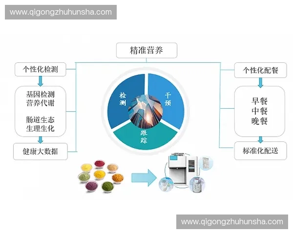 营养补剂驱动的现代健康管理与科学补充新趋势全面发展路径研究