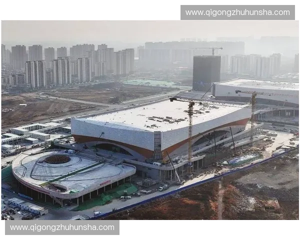 以速度滑冰道为核心打造城市冰雪运动休闲融合发展新地标示范区建设